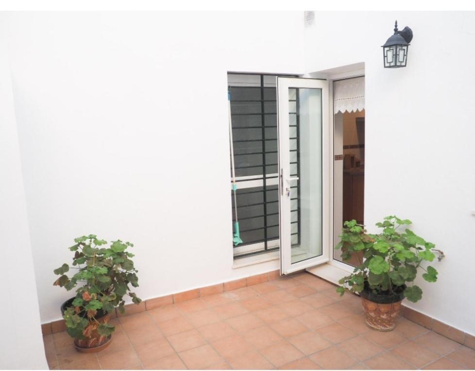 Conilplus Apartment Castilnovo Conil De La Frontera Zewnętrze zdjęcie